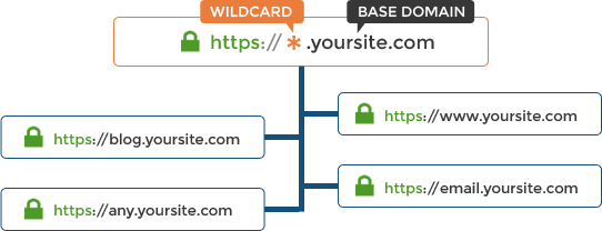 What Is a Wildcard SSL? A Guide to Securing Your Subdomains
