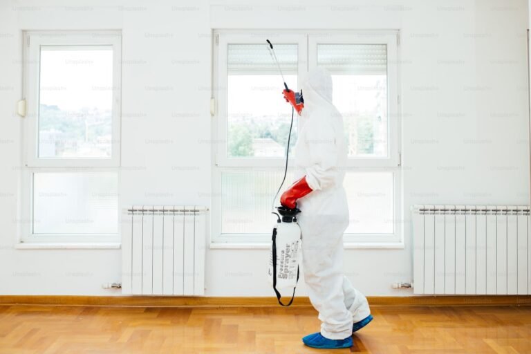 How to Choose the Right House Painter for Your Home