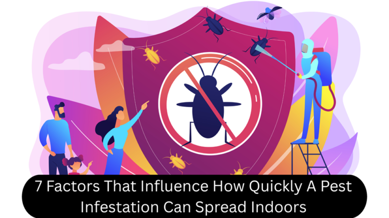 7 Factors That Influence How Quickly A Pest Infestation Can Spread Indoors