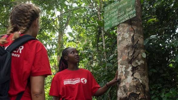 Your Complete Guide to Cooperating Volunteers Zanzibar by Volunteer Abroad Cooperating