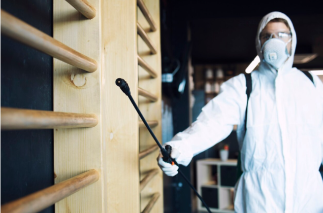 How Early Detection Of Termite Can Prevent Major Infestations