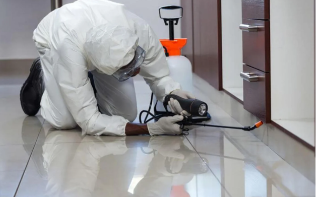 Why Is Investing In A Regular Pest Control Service Always A Smart Move?